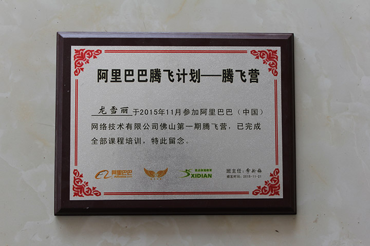 阿里巴巴騰飛計(jì)劃